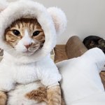 [댓글부탁해] 아니ㅋㅋ 내가 진상인 거임? 카페 갔다가 개진상 취급...