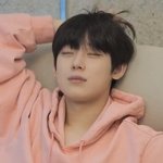 [엔하이픈] 엔하이픈 <b>뇌절</b>