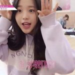 장원영ㅇ팬들아 ㅈㅂㅈㅂ