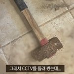 [이것좀봐줘] 동물농장 <b>망치</b>로 때려죽인 사장