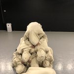 [엔하이픈] 이번에 확실하게 느낀점