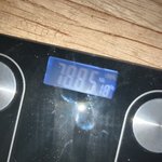2주만 기다려라