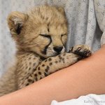 [NCT드림] 지금 심정