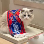 [고양이] <b>이모들</b> 방구왔어요