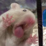 [NCT드림] 선공개하면 영상클립 <b>화소</b>닳을때까지 빨묵할듯