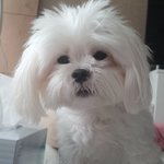 나 약간 예<b>지력</b>?있는듯