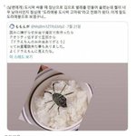 남편 도시락에 장난쳐본 와이프
