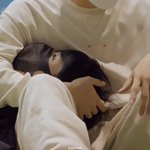 [NCT드림] 이마크는 진짜 사랑이 많은 형<b>아야</b>
