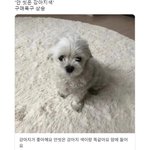 ㅋㅋㅋ아빠 갑자기 조용해짐