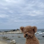 내 주변인들로 mbti 일반화