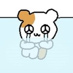 [댓글부탁해] 쌍수 안연고 눈두<b>덩이</b>에 바르는거 맞지??