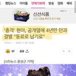 현아 &amp; 던이랑 헤어졌대!!!!! ㅠㅠ