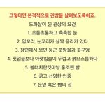 [19] 이거 도화살 <b>관상</b>이라는데