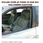 경찰한테 하루 45번 잡힌 할로윈 복장