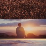 [방탄소년단] 남주니 내일 인디고앨범 나온다  짤주운거 공유하자