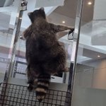 [<b>댓글</b>부탁해] 난 <b>일본</b>에서 태어나는게 맞았을듯