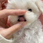 [댓글부탁해] 남친이 인스타로 사귀는거 티내는거 짜증남
