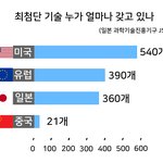 인류 최상위 먹이<b>사슬</b> 인종