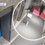 한국남자 현주소 (움짤 충격주의)