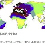 한국인이 축구 못 할 수 밖에 없는 이유