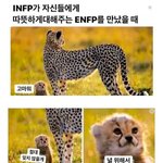 MBTI 생태계 최약체 <b>INFP</b>