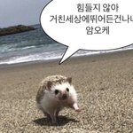 <b>옆집</b> 소리가 너무 잘들려