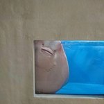<b>알고</b><b>보면</b> 개그캐가 맞는 귀요미들