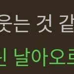 방탄 리더가 알엠이라 <b>다행</b>이다