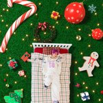 [NCT드림] 아니 이해찬이 진짜 <b>도라</b>이야(좋은 뜻)