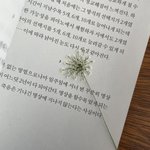 [댓글부탁해] ㄹㅇ진짜 <b>가망</b>없어보이는 상황에서도