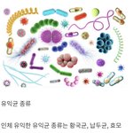 <b>장내</b> 세균 복합 유익균 종류?
