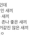 축빠들이 생각하는 김진수
