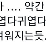 [NCT드림] <b>착한</b>양파 황런쥔