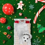 [NCT드림] 화쿠 <b>대체</b>할만한 <b>멤버</b> 찾음