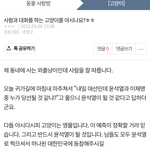[방탈죄송] 사람과 대화를 하는 고양이를 아시나요?  일화 하나를...