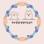 일상다반사 40대이야기