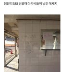 [19] 이거 ㅈㄴ 웃김