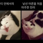 [NCT드림] 천러가 러냥이 소리 들은 게 언제부터인지 알아?
