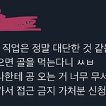 어<b>제자</b> 실트에 있던 웃긴 축구 ㅌ윗들