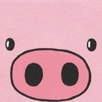 <b>시인</b> 김남열 | 돼지꿈