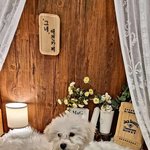 우리집 댕청미 <b>열무</b>