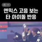 엔믹스 스키즈 반응 봄?ㅋㅋㅋ