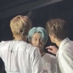 [NCT칠프] 형<b>아들</b>한테 구르밍 받는 애옹씨