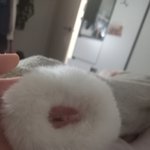 링곱창모양 털머리끈 샀는데 넘 맘에들엉