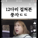 <b>풍자</b> 보고 단발병 옴