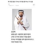 아랍두<b>부상</b> 이론 ㄹㅇ 인듯