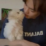 [NCT드림] 정상인이던 내가 천러 <b>유사</b>먹고싶을때