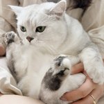 <b>심술</b>난 쵸!