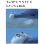 [19] <b>연합</b>댄동 들어갔는데 가슴때문에 힘들어