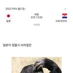 일본 개꿀ㅋㅋㅋㅋㅋ